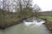 l'Yerres à Argentières